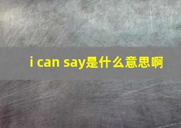 i can say是什么意思啊